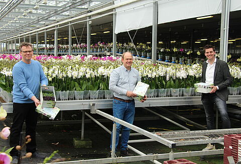 Gezonde cressen van Koppert Cress voor klanten van Koppert Biological Systems