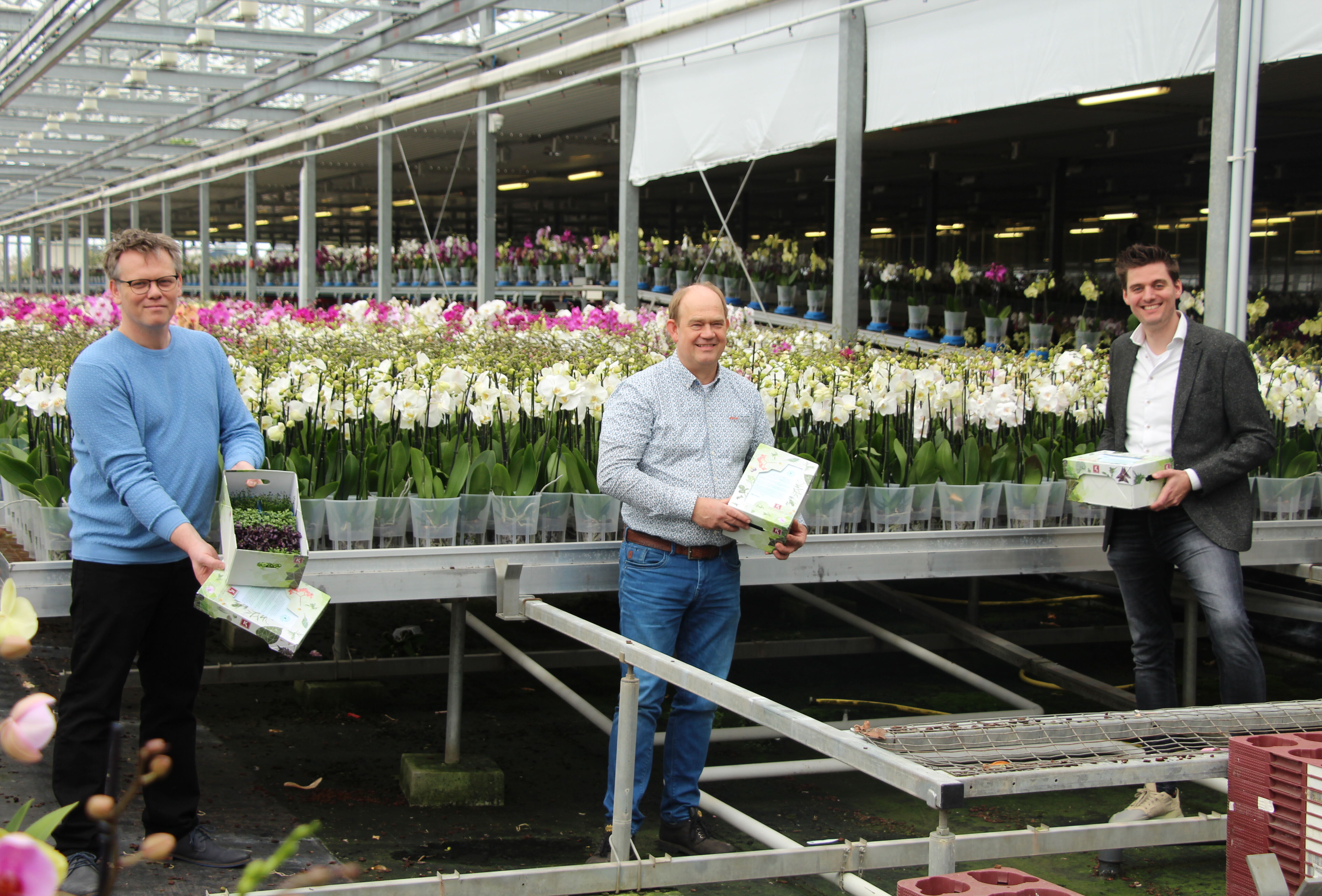 Gezonde cressen van Koppert Cress voor klanten van Koppert Biological Systems