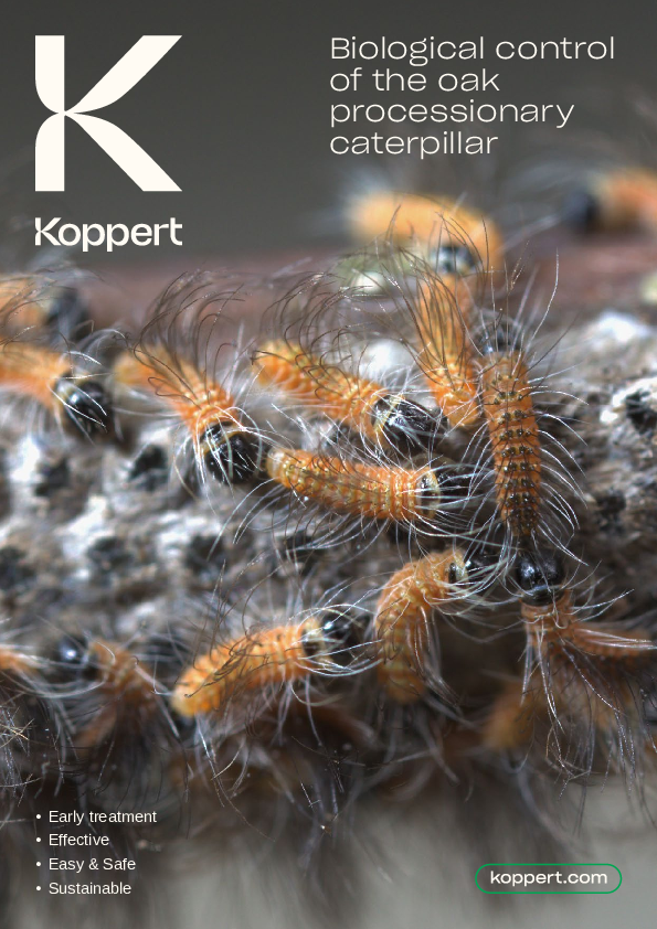 Oak Processionary Moth Thaumetopoea processionea Brochure EN