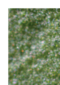 Spidex Vital Trial Results