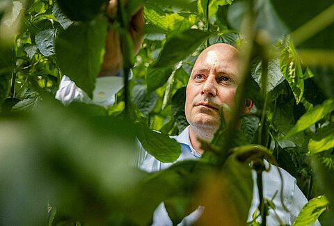 Un impressionante campo d'azione di soluzioni per gli acari predatori grazie a continue ricerche e innovazioni
