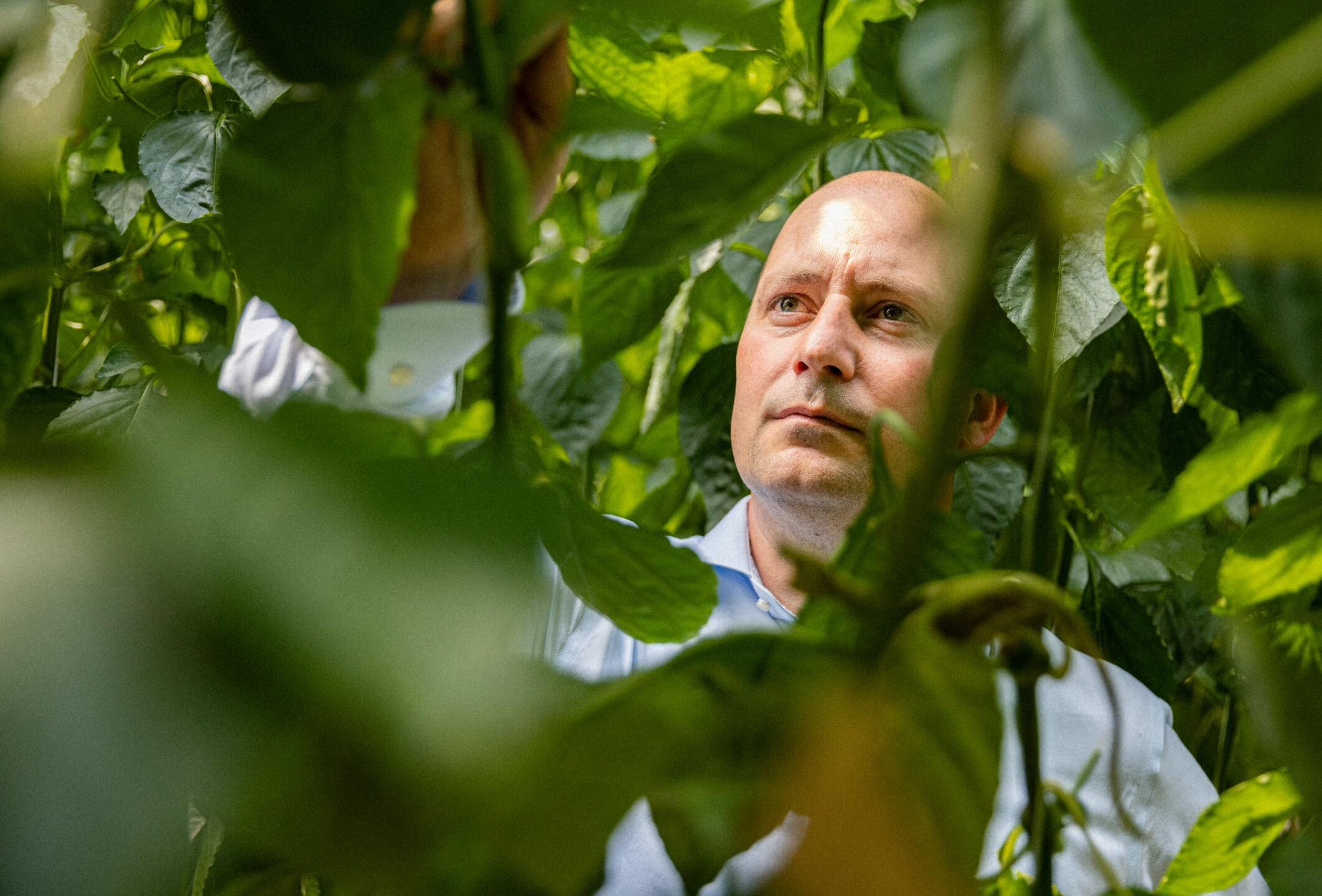 Un impresionante rango de ácaros depredadores gracias a la investigación e innovación continuas