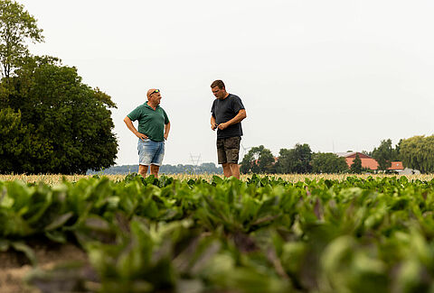 Towards a chemical-free future in agriculture: The vision of grower Koen