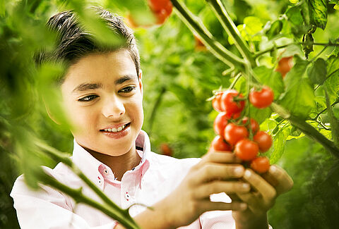 New website for Koppert India