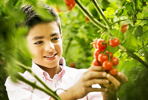 New website for Koppert India