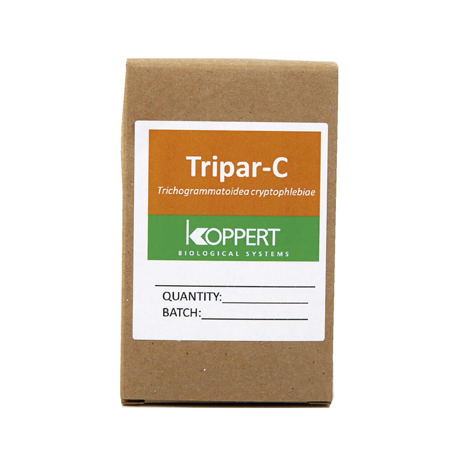 Thripar-C_01.jpg