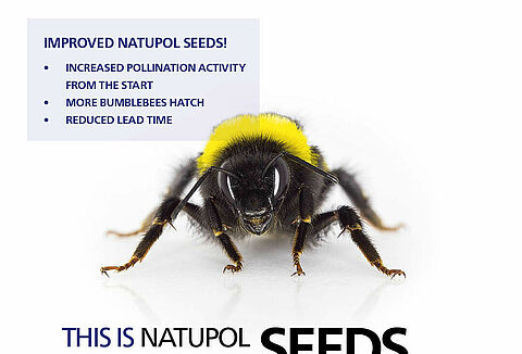Natupol Seeds – more pollinators on arrival and reduced lead time
