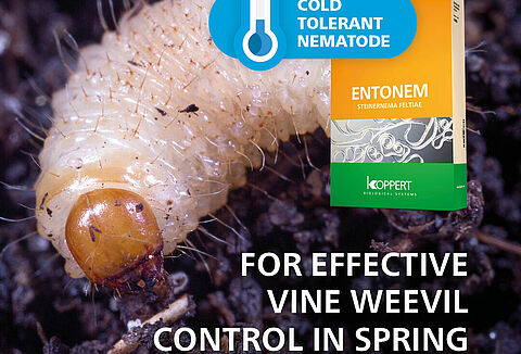 Extended season for nematode biocontrol with Entonem