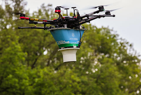 Natutec Drone de toekomst in bestrijding eikenprocessierups?
