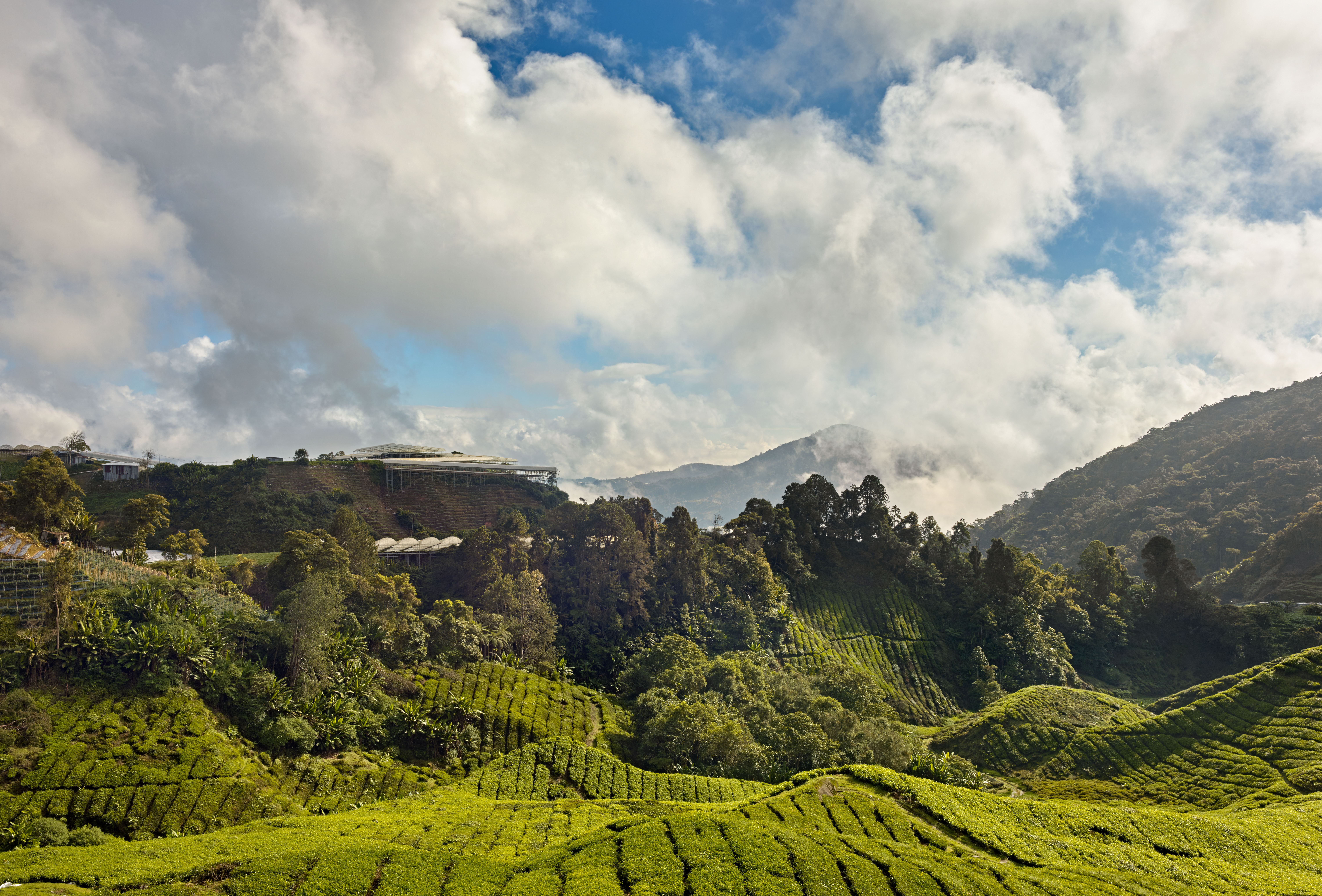 World Environment Day – Ecosystem Restoration