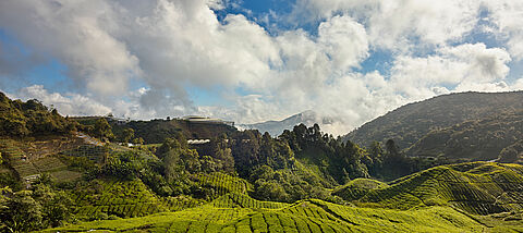 World Environment Day – Ecosystem Restoration