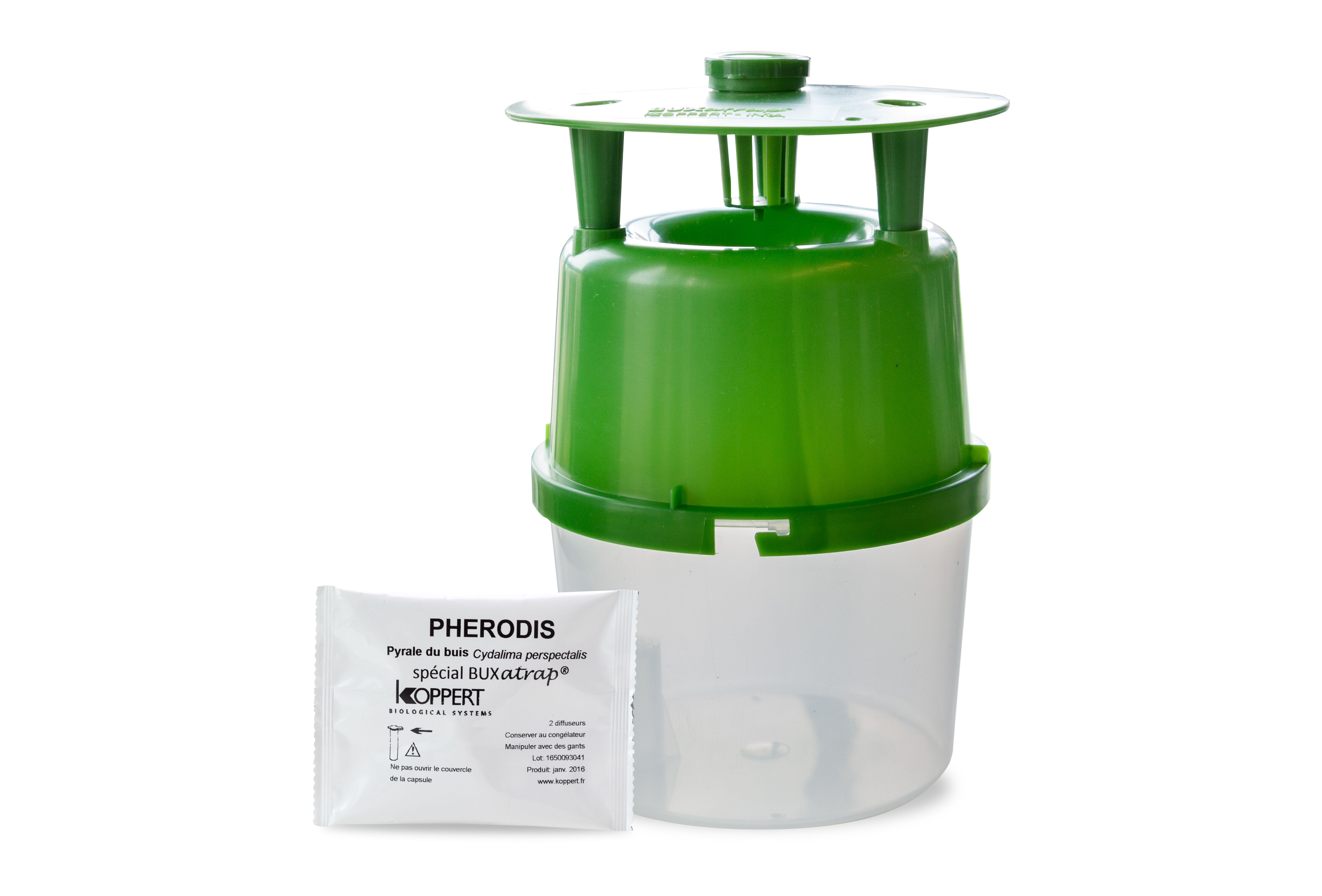 Buxatrap and Capsanem: an ideal and effective combination for early detection and biological control of box tree moth 