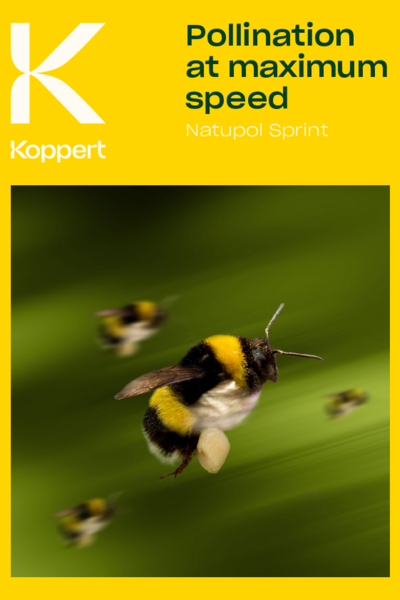 Natupol Sprint brochure
