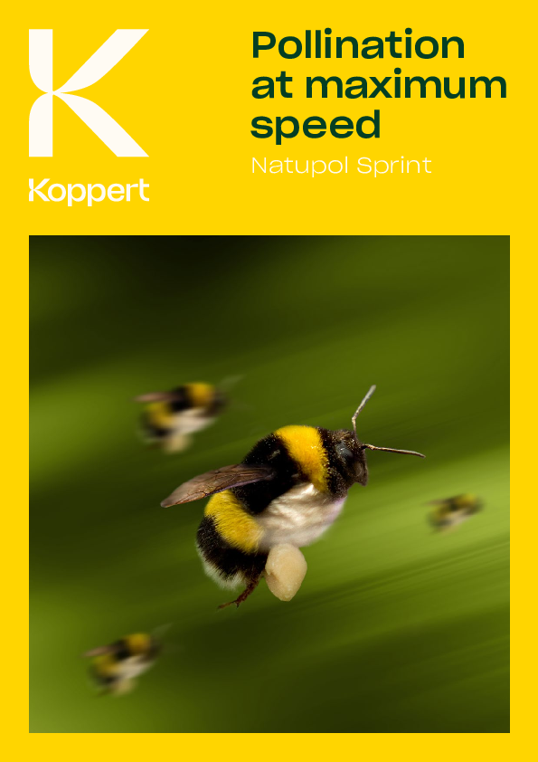 Natupol Sprint Brochure