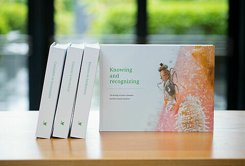 ‘Knowing & recognizing’ now available in 4 languages