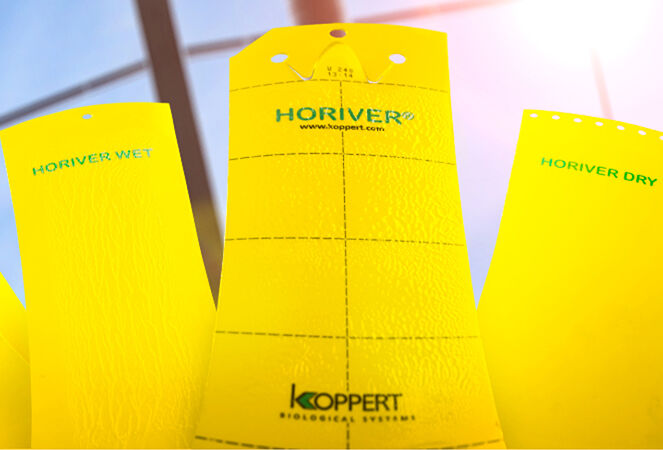 Koppert lanceert nieuwe reeks vangplaten