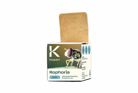 Rophoria
