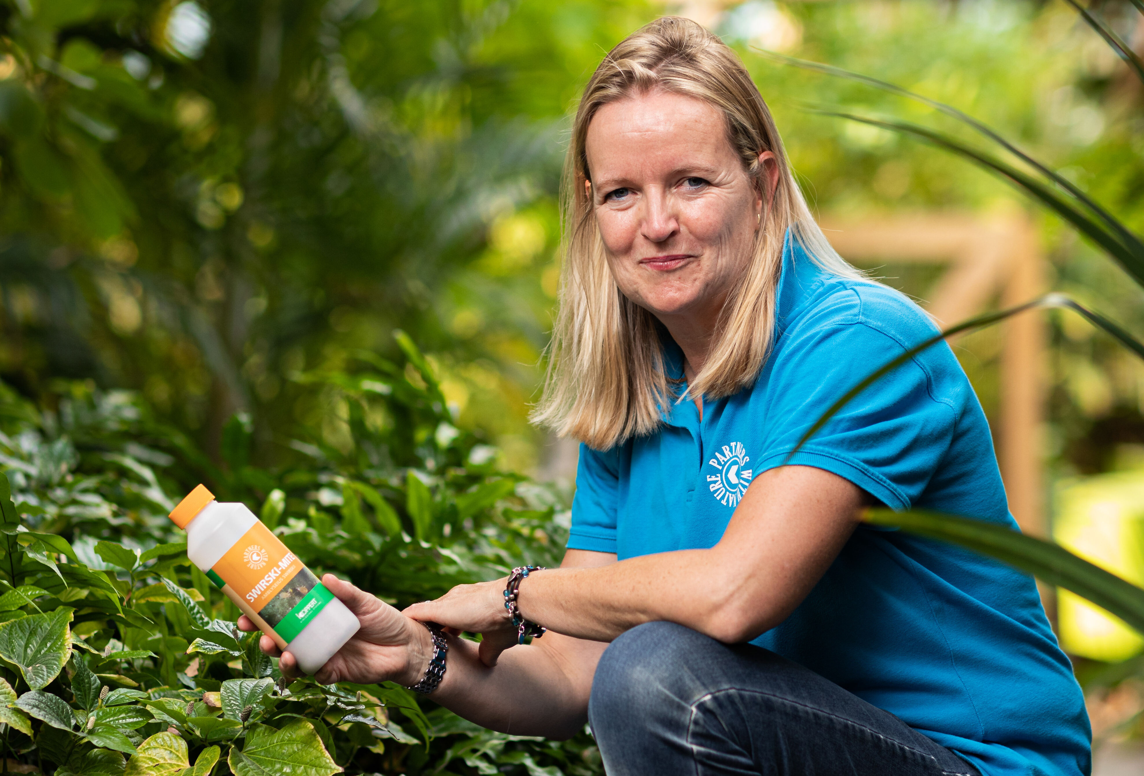 Nieuwe producten: drie maal raak!