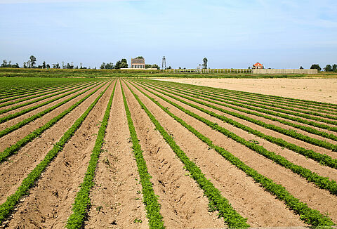 'Na test hele peenareaal met Trianum-G'
