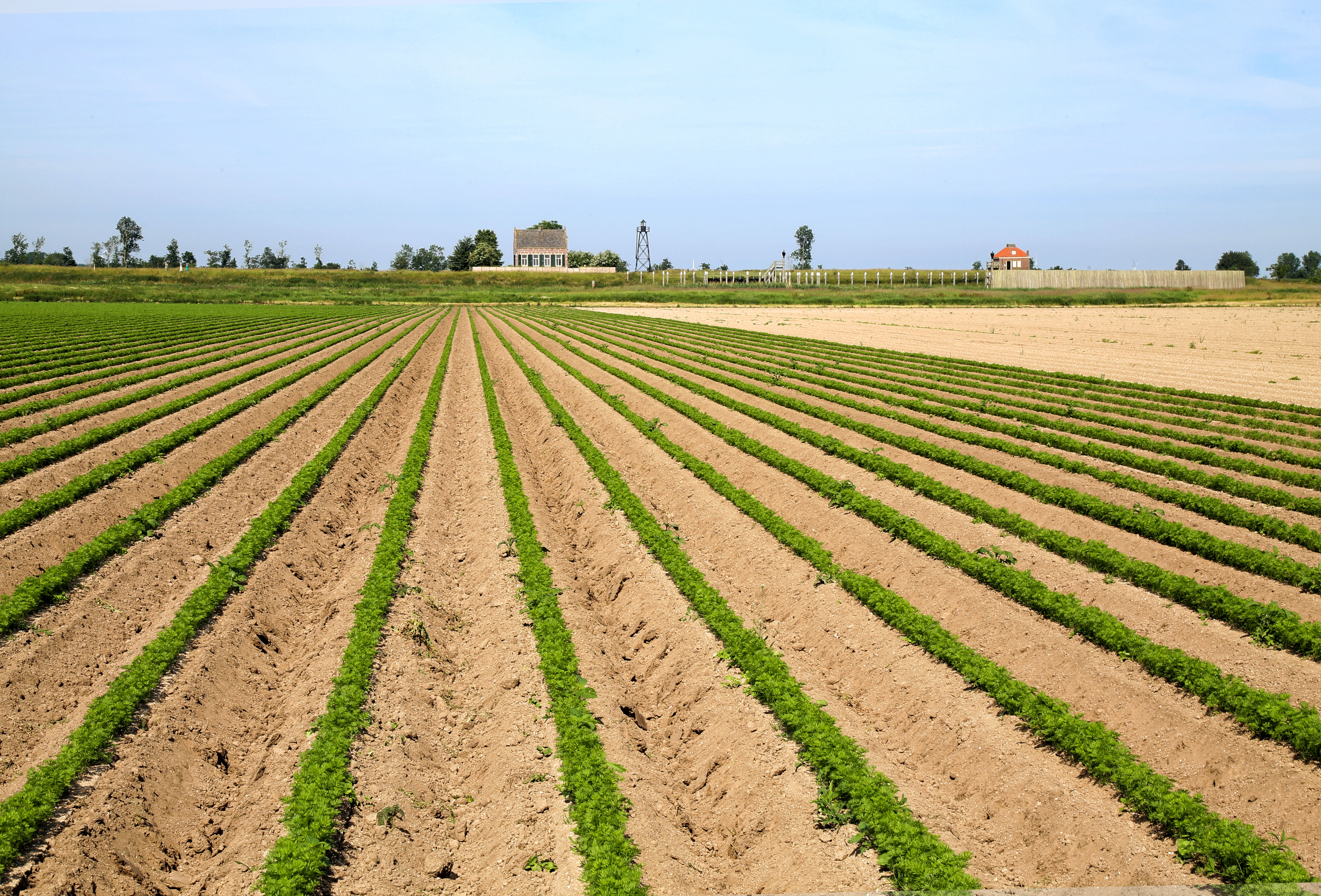 'Na test hele peenareaal met Trianum-G'