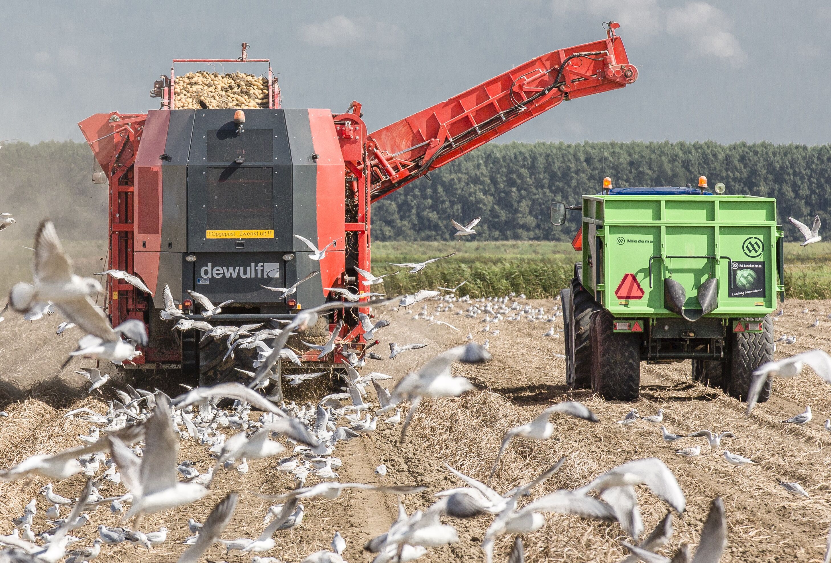 Buitenteelten veranderen: pionieren in een enorme groeimarkt