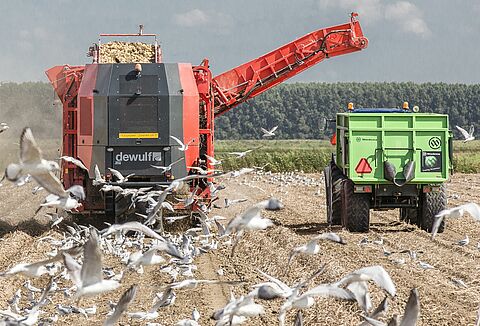 Buitenteelten veranderen: pionieren in een enorme groeimarkt
