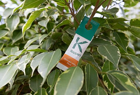 Swirski-Mite palīdz Jums saglabāt kontroli