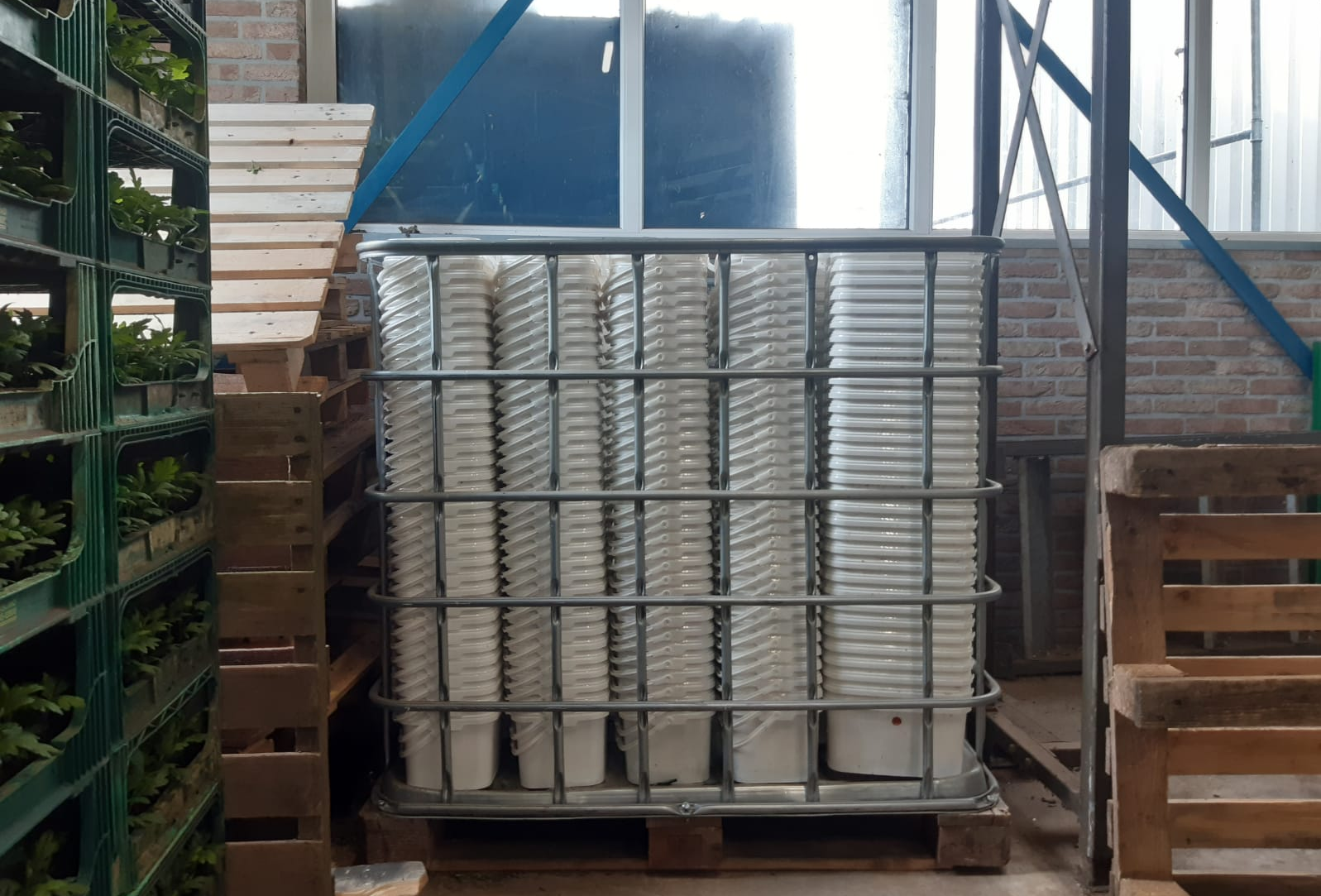 Sustainability drive continues - plastic buckets now recycled!