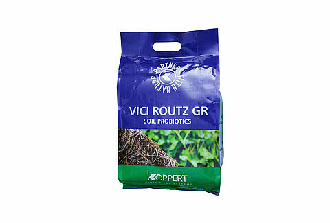 Vici Routz GR