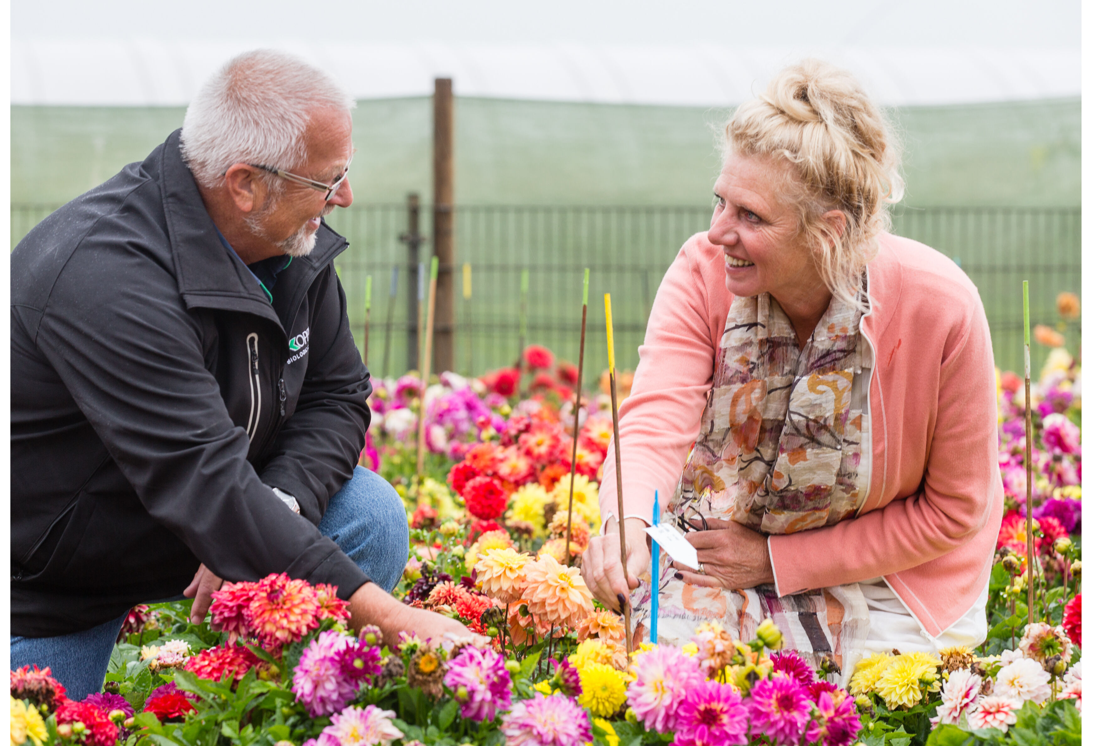 Alle zekerheden loslaten - en opnieuw beginnen