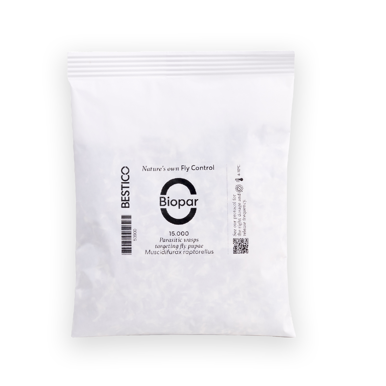 Appiwasp.jpg Appiwasp.jpg