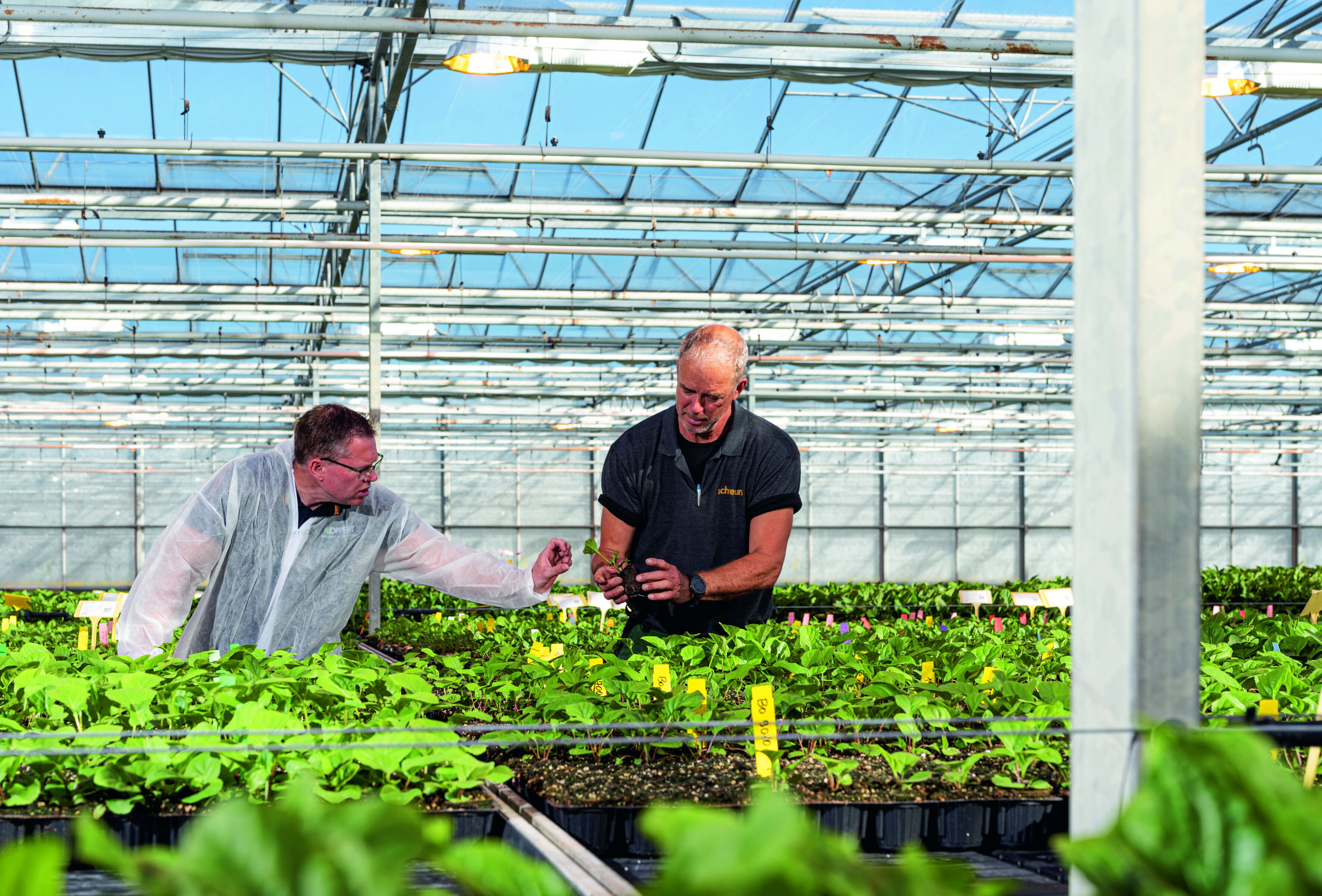 Biologische aanpak zorgt voor rust en tevreden klanten