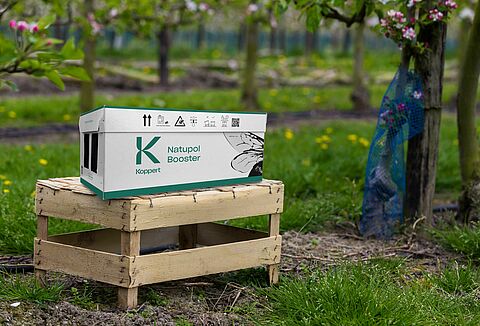 Unveiling the Buzz - Outdoor pollination products with a new look from Spring 2024
