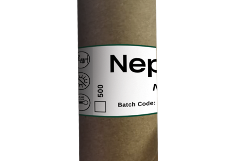 Nephubug