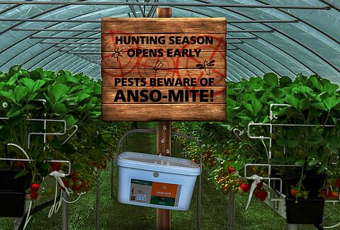 Hunting season starts early with Anso-Mite!