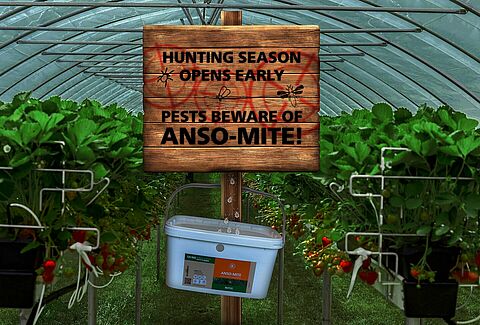 Hunting season starts early with Anso-Mite!