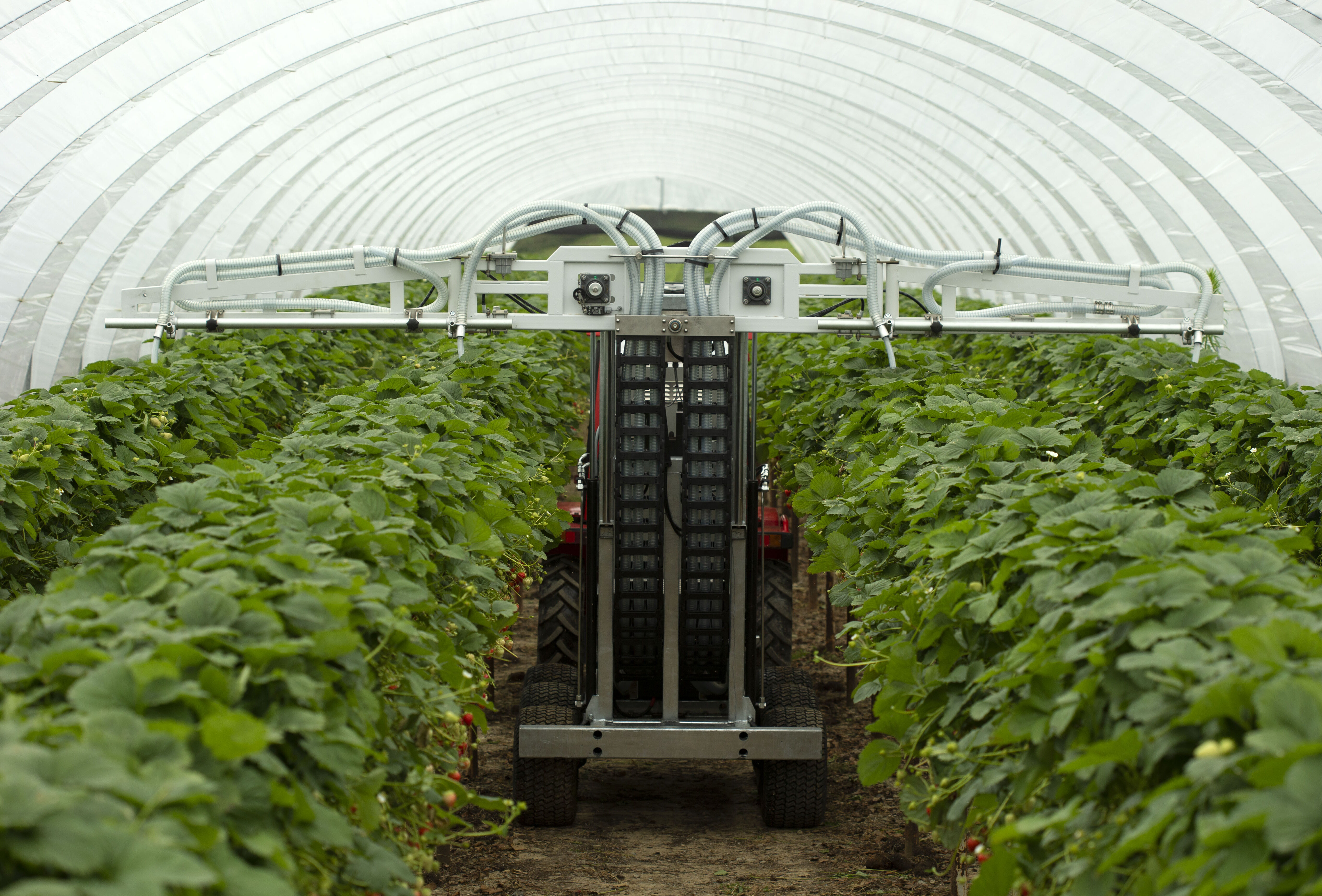 Natutec Drive effective and efficient – ‘a fantastic device’