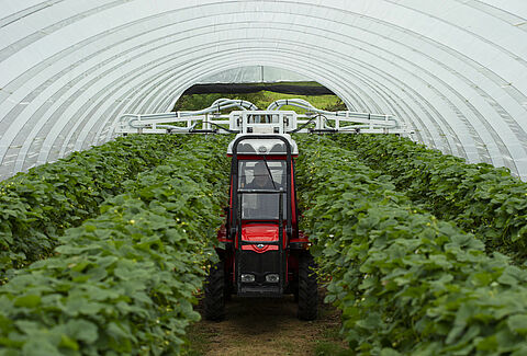 Koppert introduces Natutec Drive