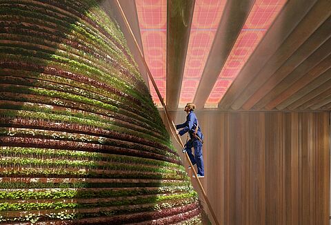 Koppert sponsor of The Netherlands Pavilion at Expo 2020 Dubai