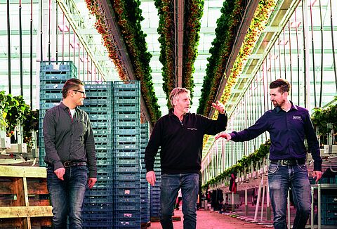 Born spider mite fighters ensure an energetic start