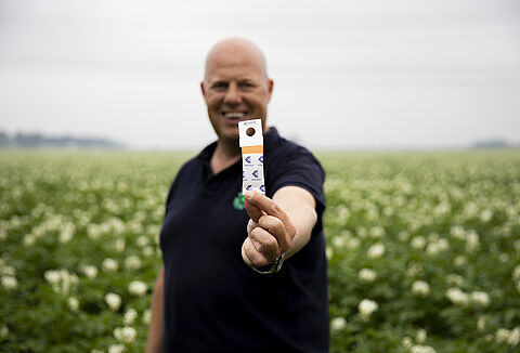 Spical-Plus: dé duurzame oplossing tegen spint in aardappel