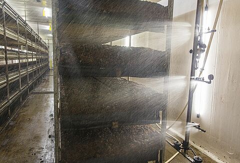 Scia-Rid houdt champignonmug doeltreffend onder de duim