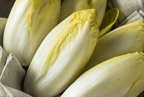 Chicory