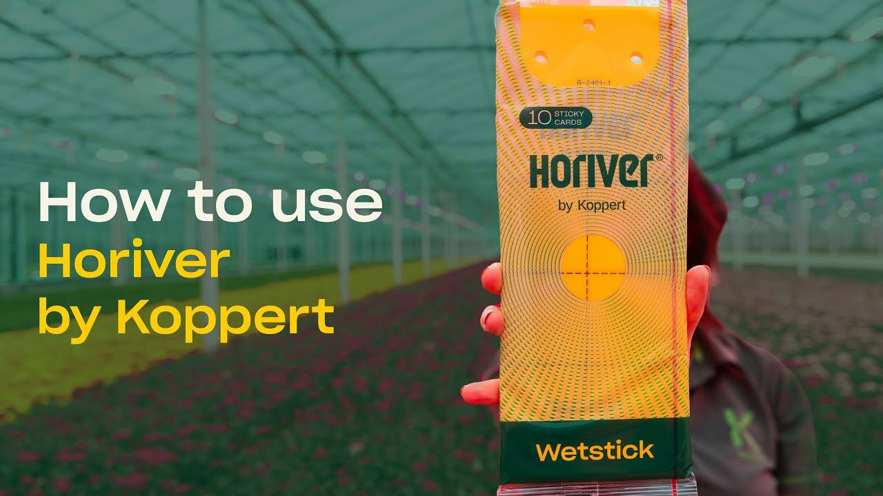 How to use Horiver Sticky Traps - Trap and Monitor Flying Insects