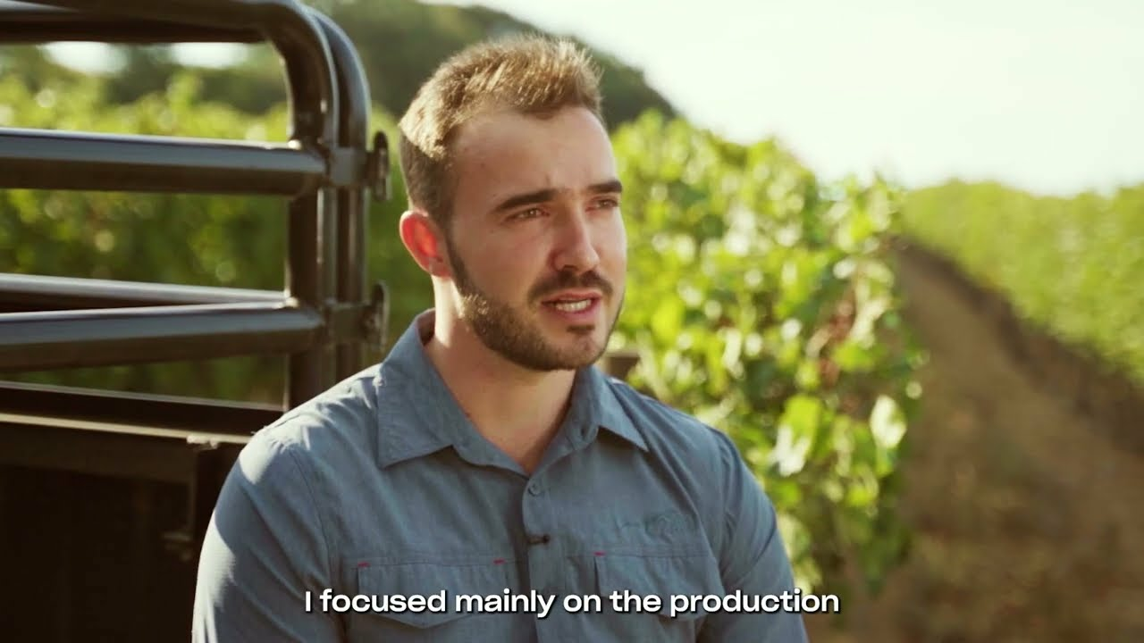 Mealybug Control in Vineyards with Cryptolaemus montrouzieri (Cryptobug) Mealybug Control in Vineyards with Cryptolaemus montrouzieri (Cryptobug)