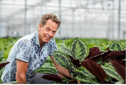 Shadowplant: vairs neizmetam bojātus augus, pateicoties maksimālai bioloģiskai aizsardzībai