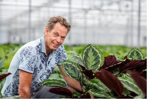 Shadowplant: vairs neizmetam bojātus augus, pateicoties maksimālai bioloģiskai aizsardzībai