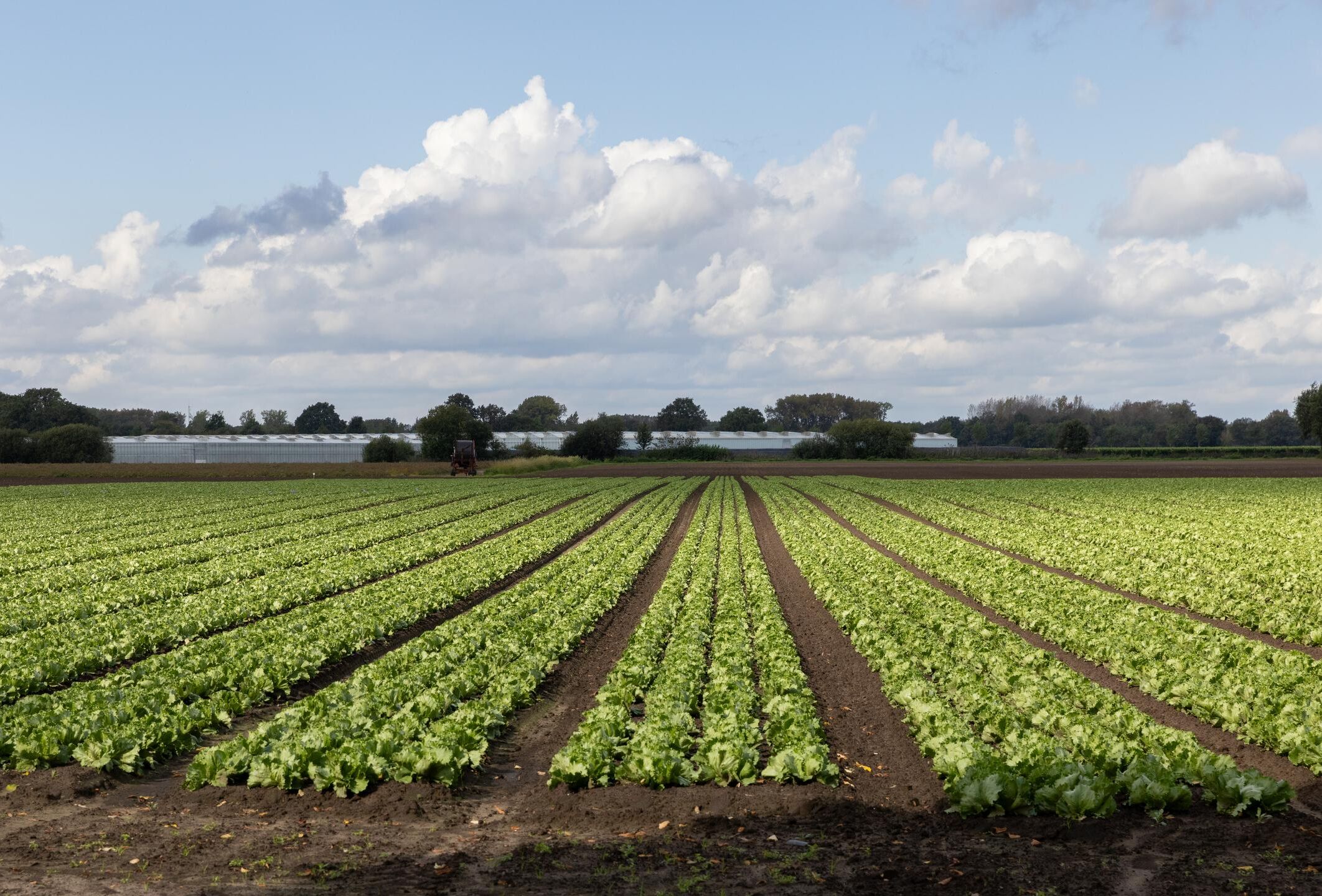 How Integrated Pest Management adds value to your outdoor crops