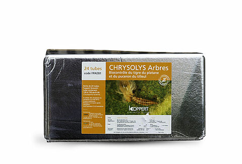 Chrysolys arbres