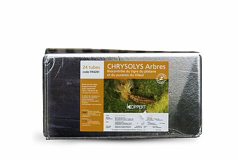 Chrysolys arbres